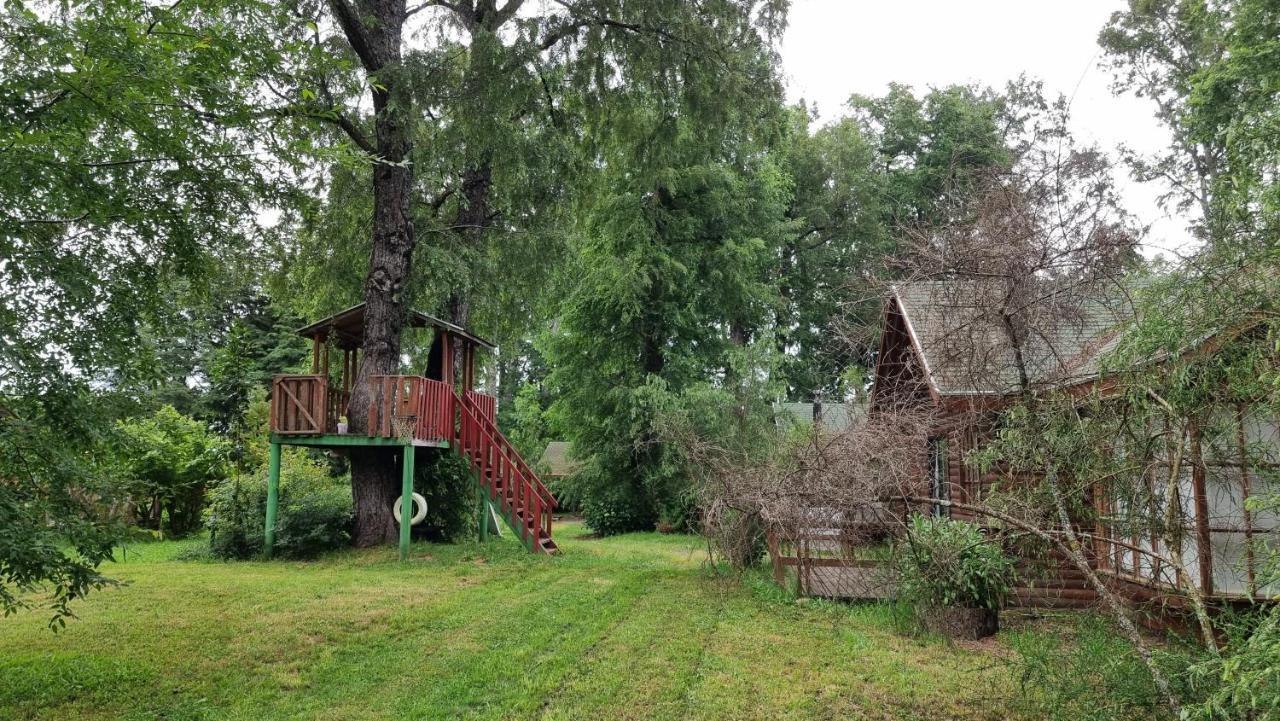 La Casa Del Arbol Villarrica Cabanas-Piscina-Tinajas Exterior foto